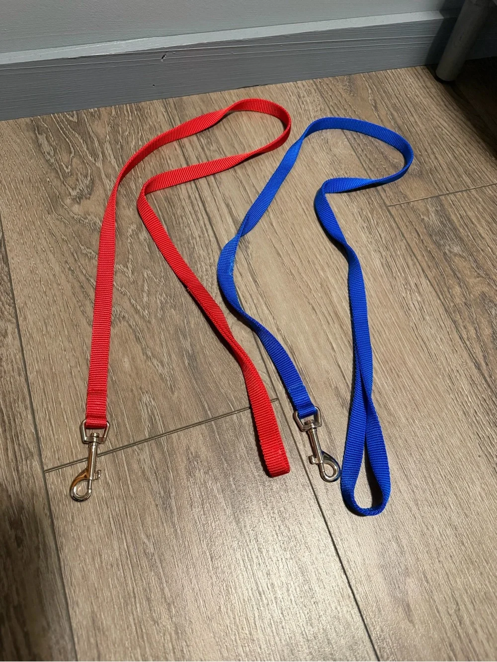 Lot of dog leashes